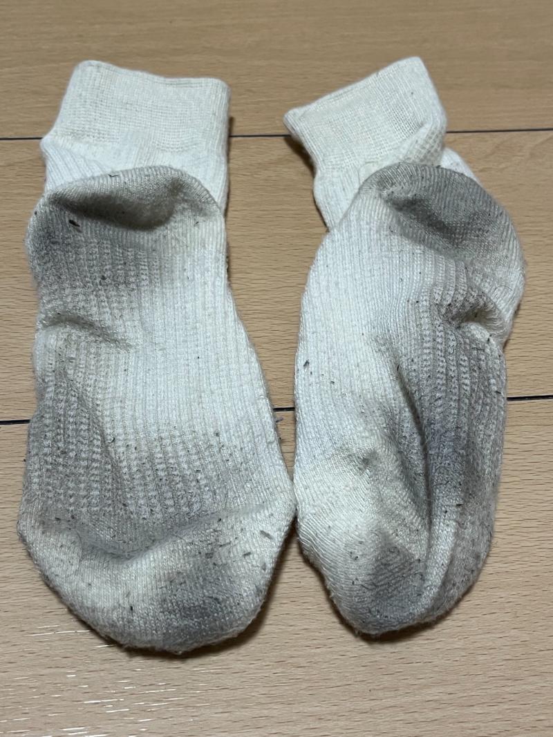 出品者名-写真