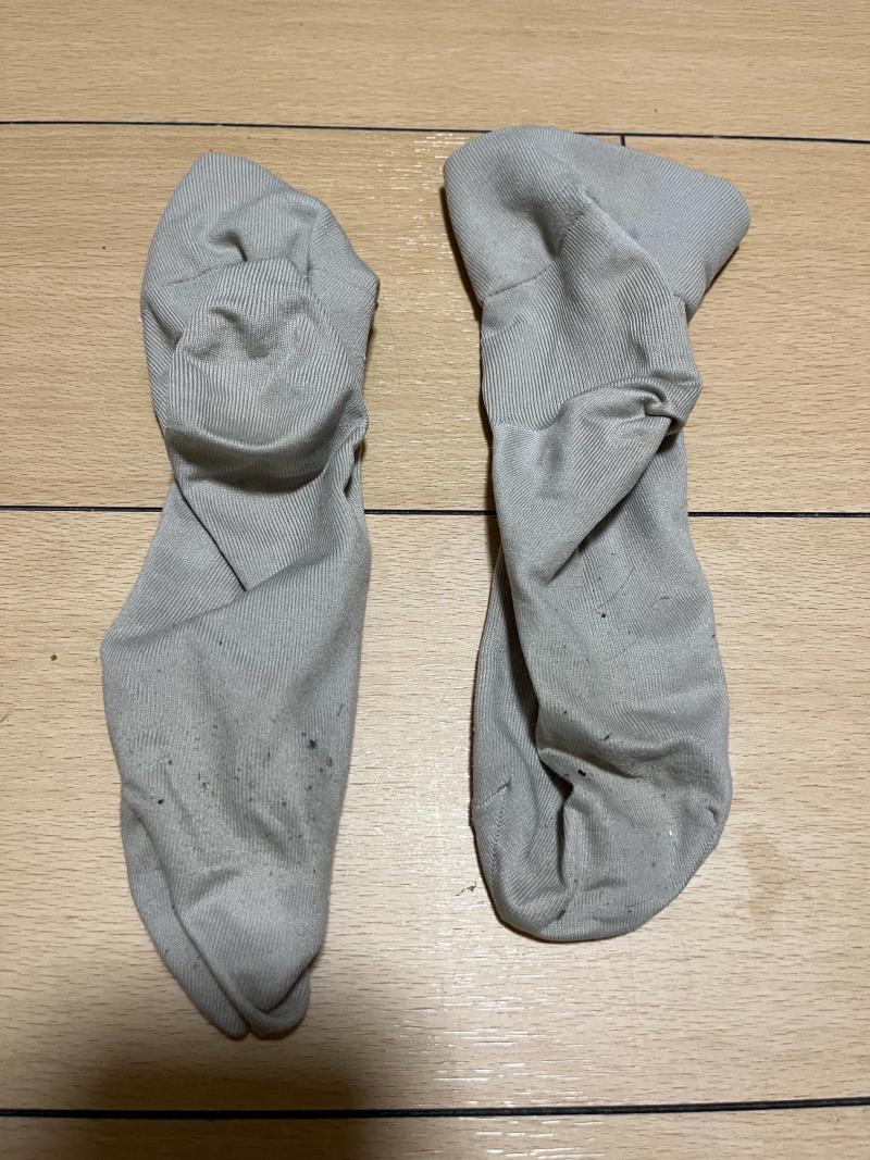 今日のリアルなみもりセット