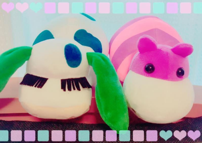 出品者名-写真-1