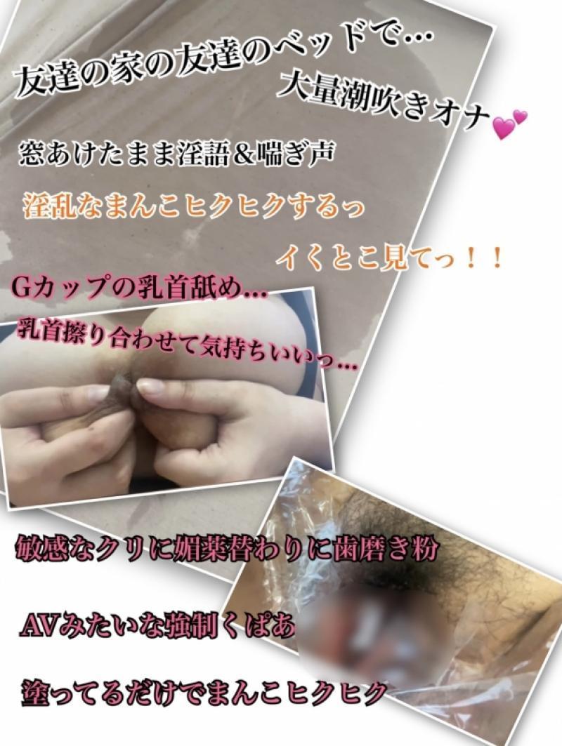 出品者名-写真