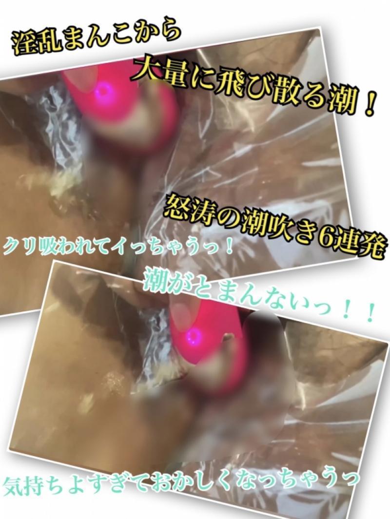 出品者名-写真-1
