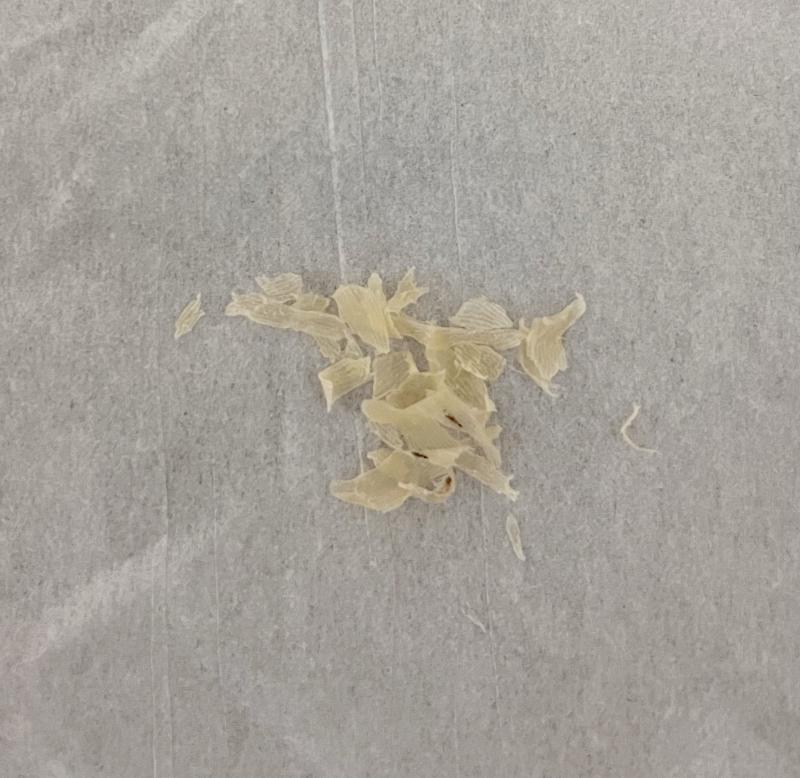 足の裏の皮(初出品!)