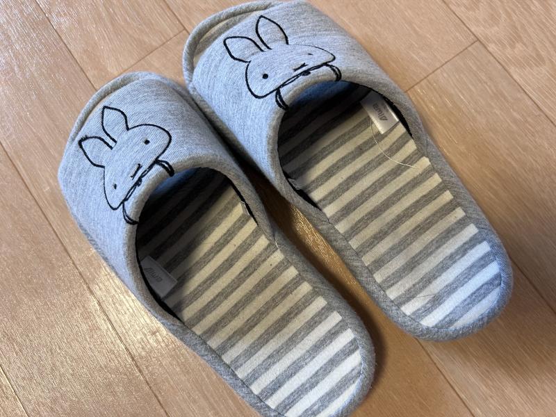 女子大生が家で毎日履いているスリッパ
