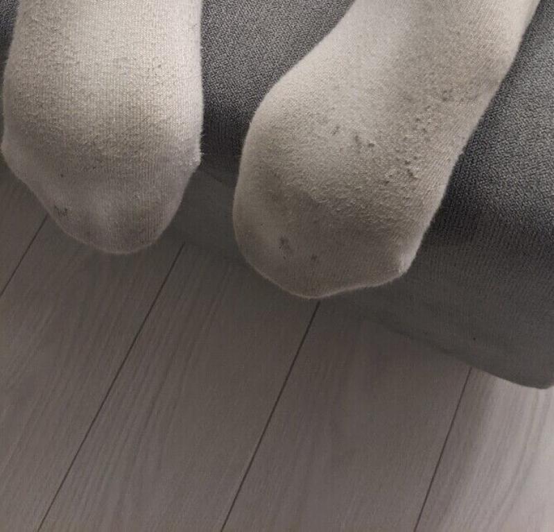 出品者名-写真-1