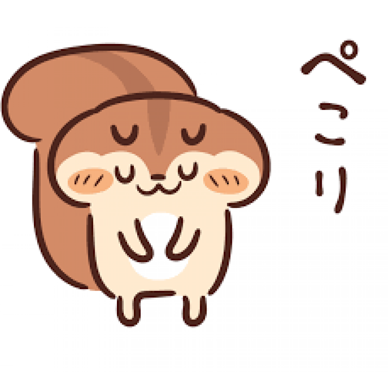 ぶーちゃん様専用です☆