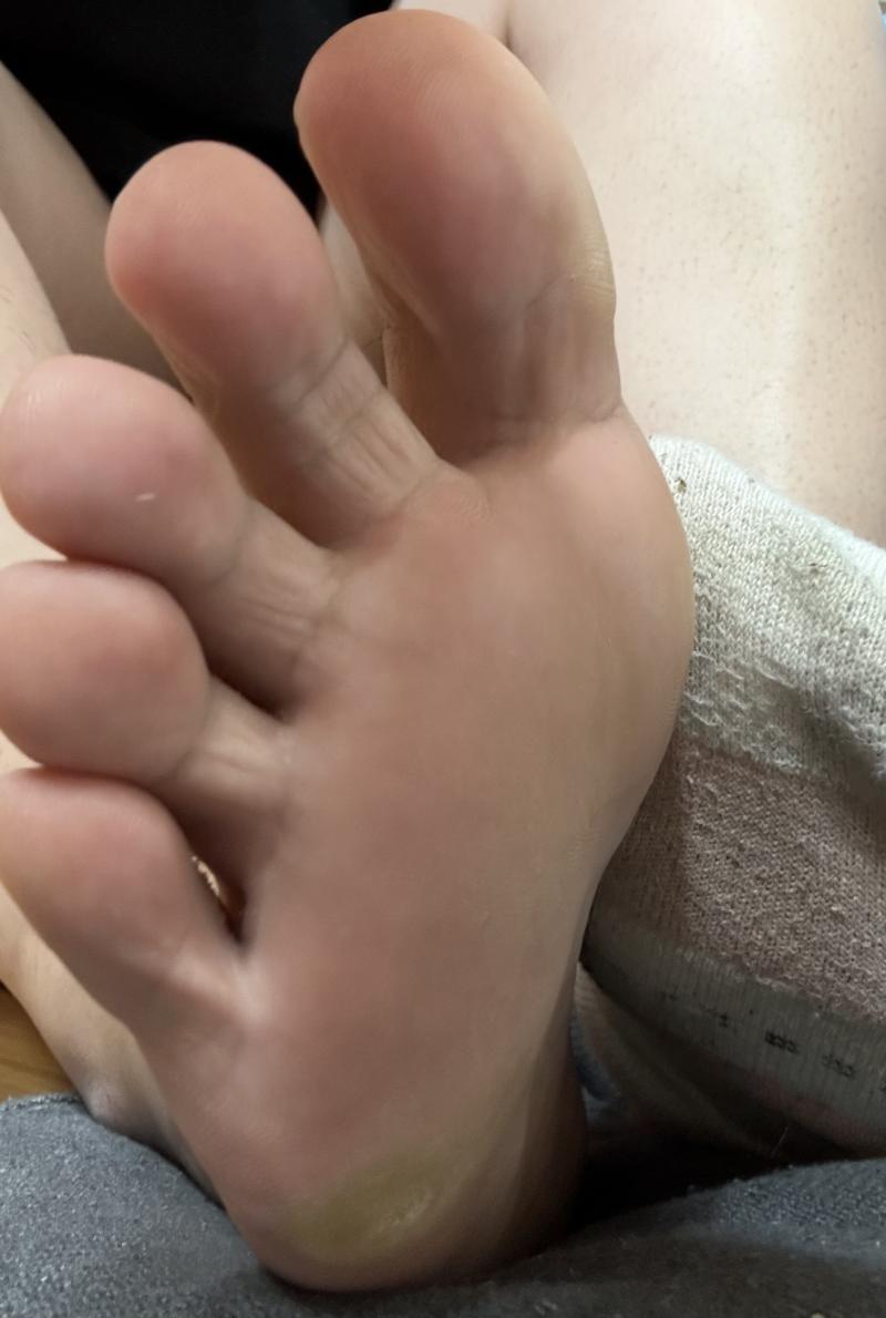 出品者名-写真-1