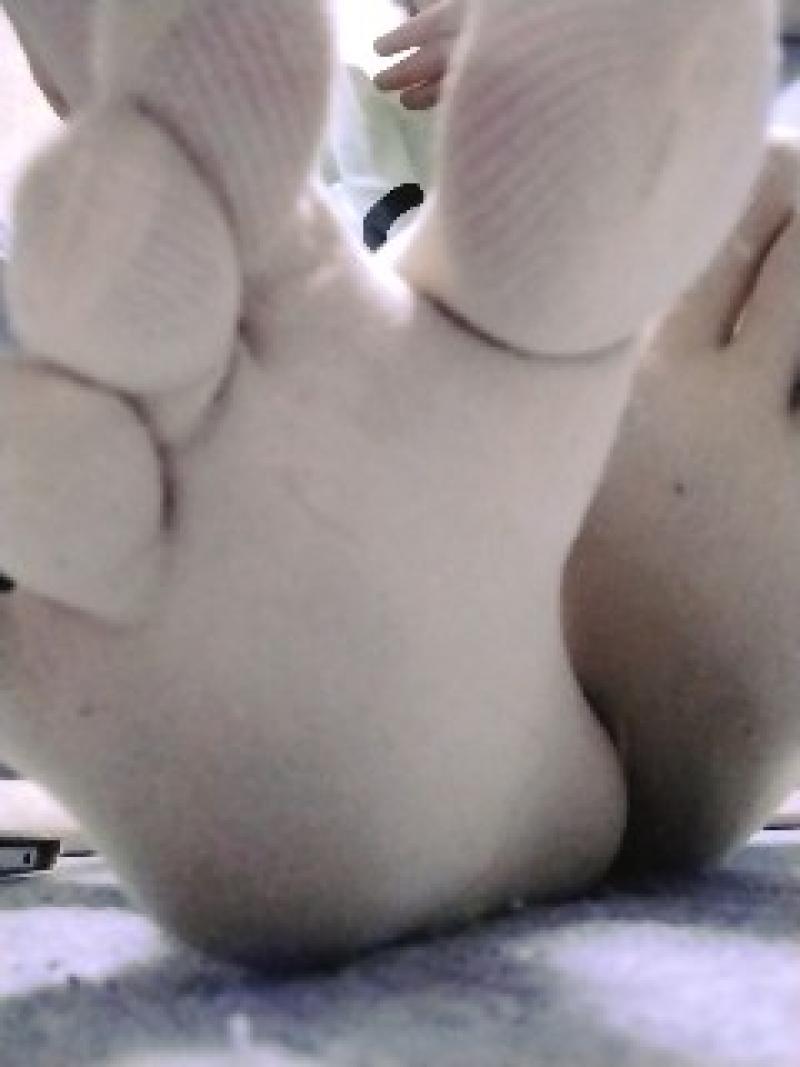 出品者名-写真-1