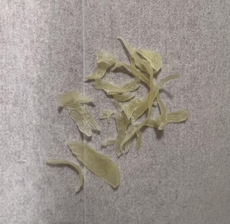 足の皮