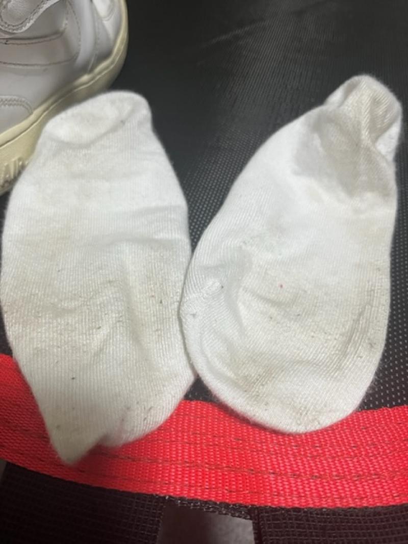 出品者名-写真-1