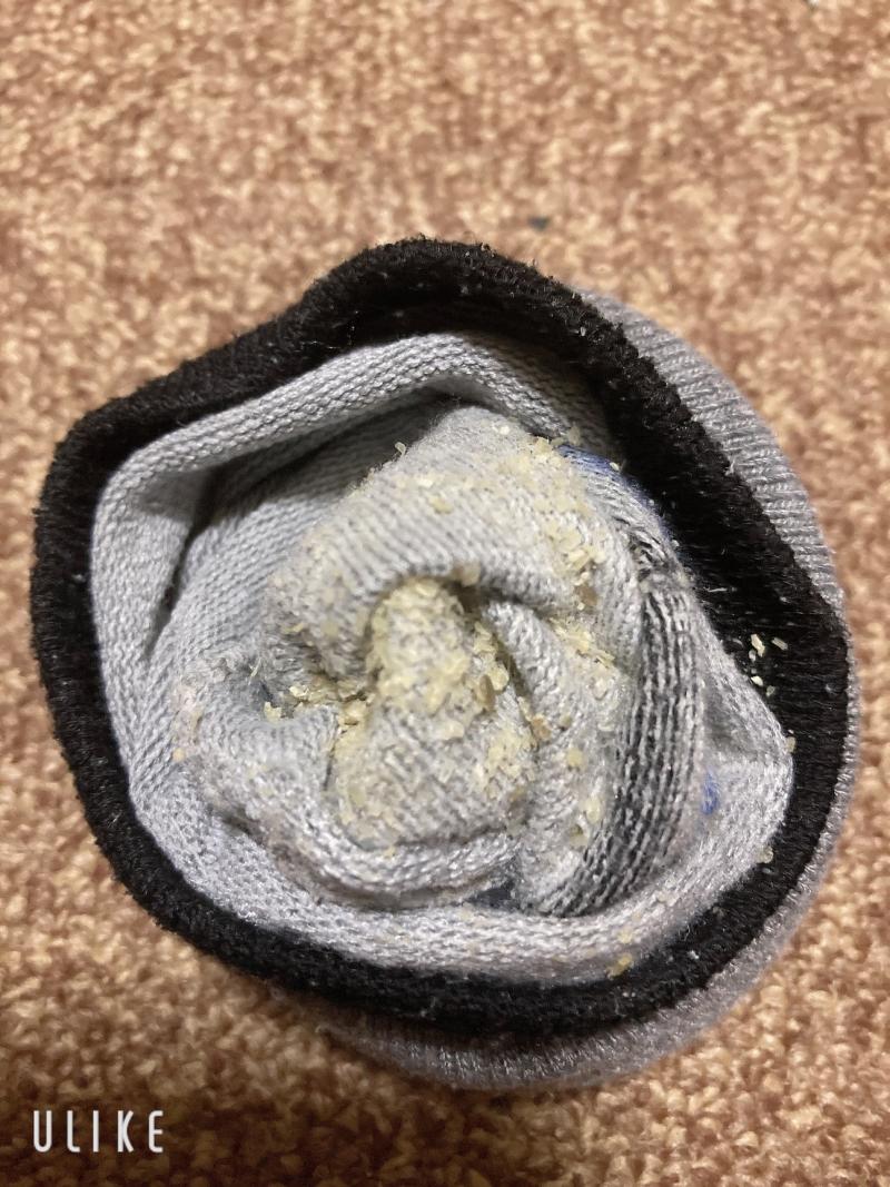 出品者名-写真-1