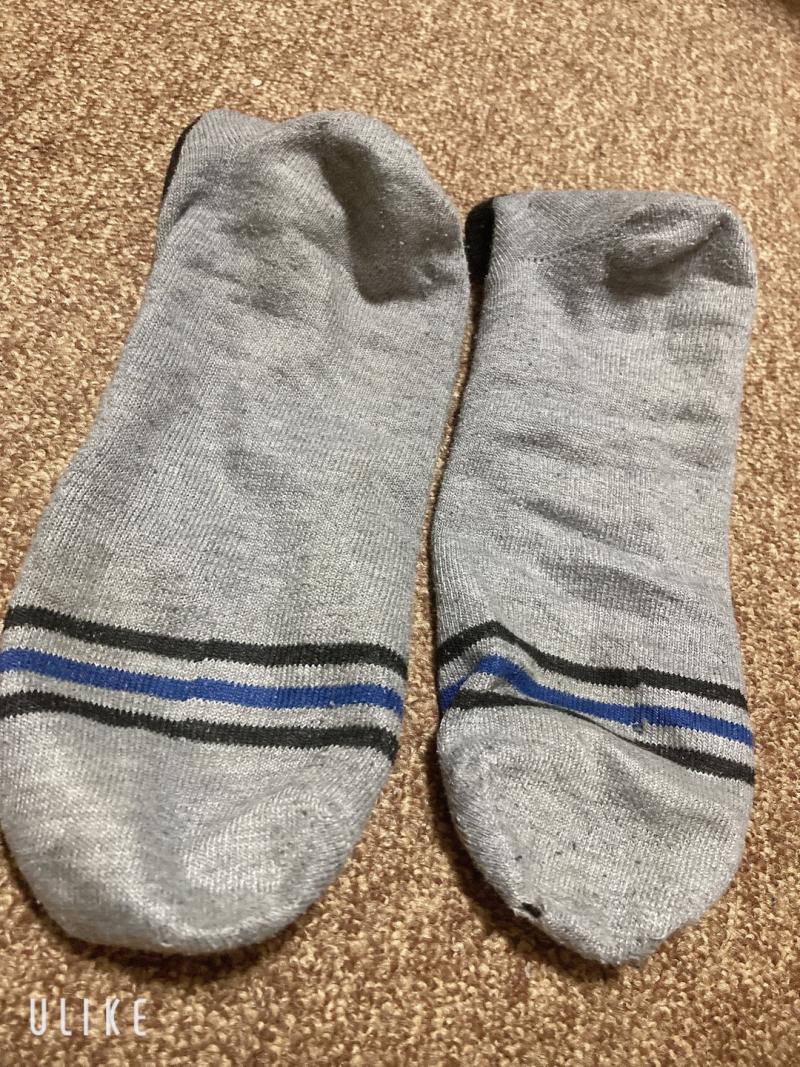 出品者名-写真-1