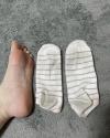 出品者名-写真-1