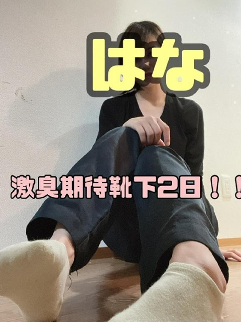 激臭確定!!靴下2日履き【ほんとに臭いので臭いに強い方のみ】