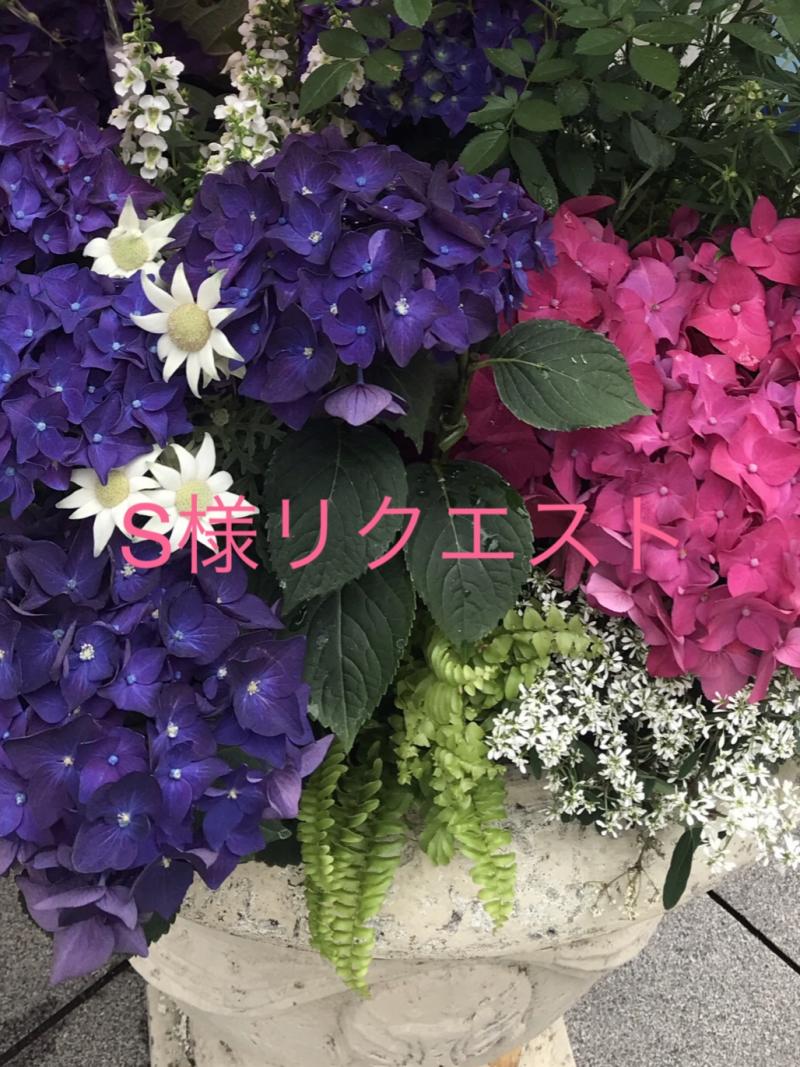 S様リクエスト