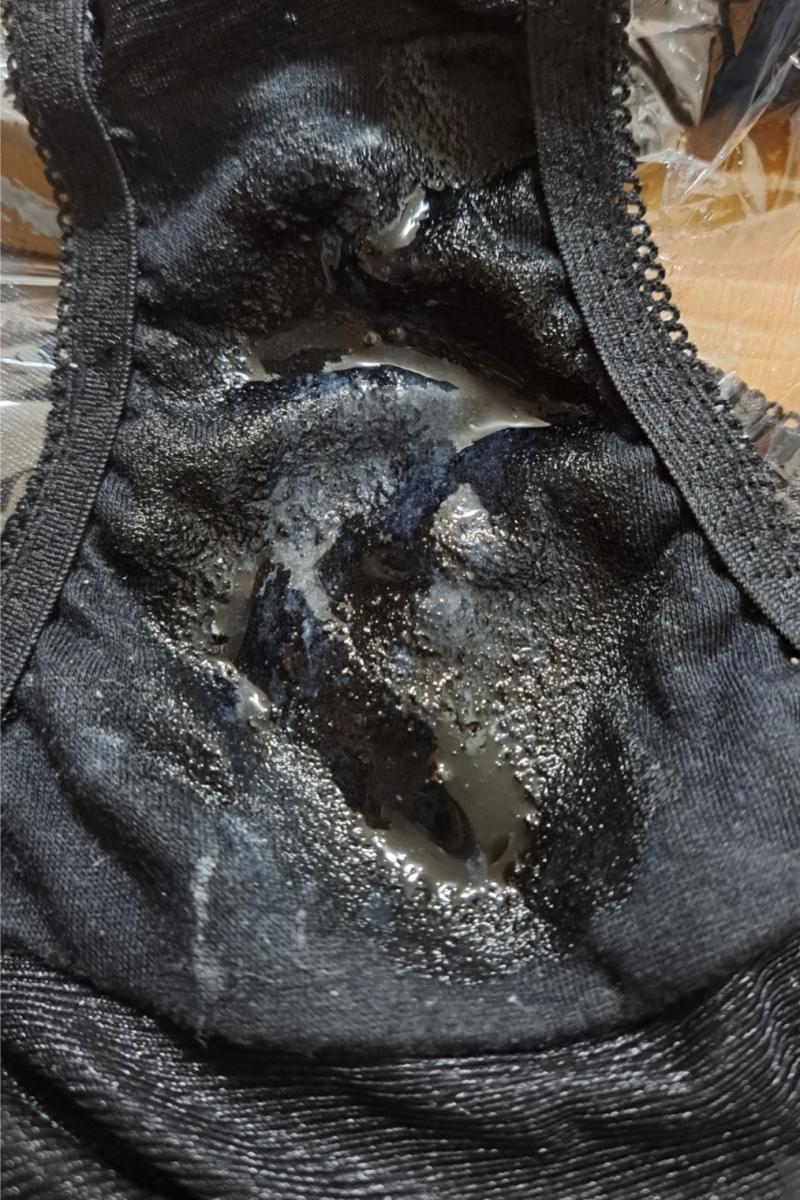 出品者名-写真