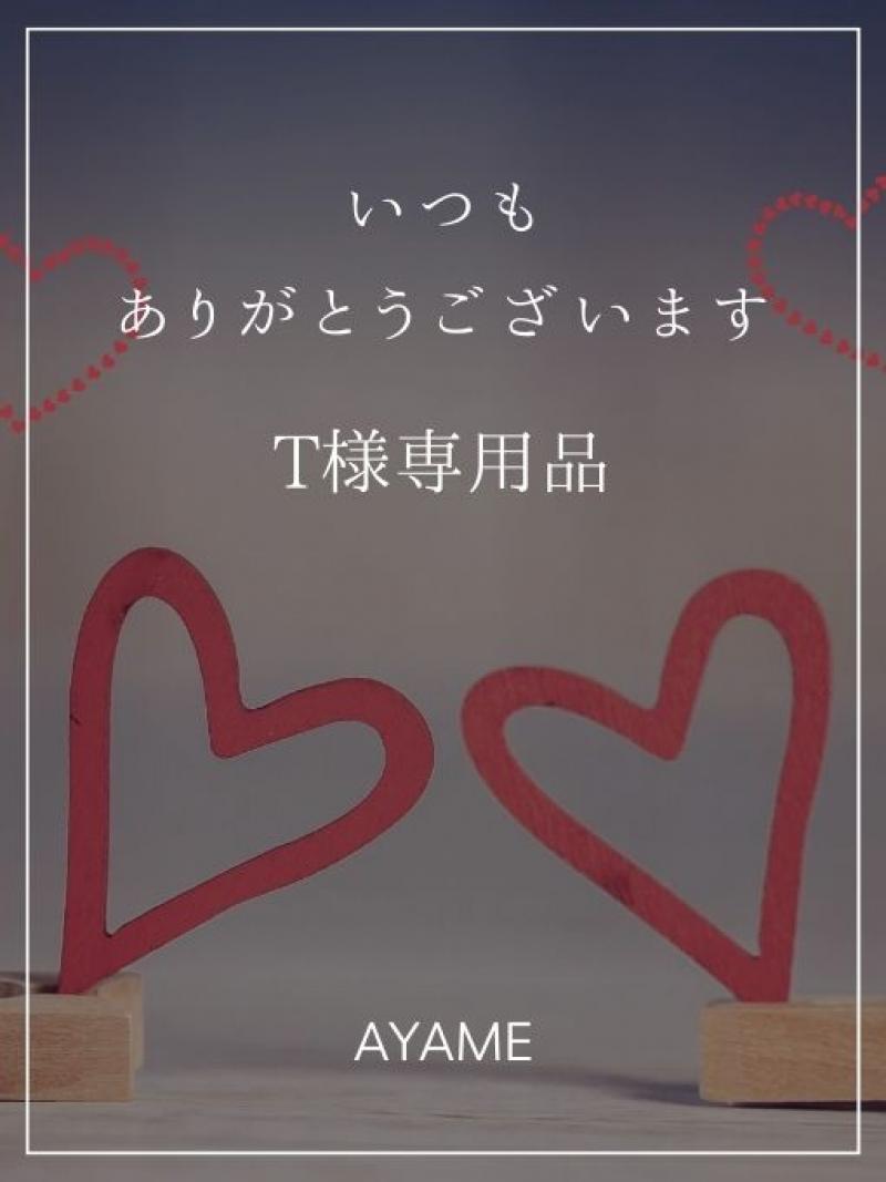 Ｔ様専用品♡いつもありがとうございます