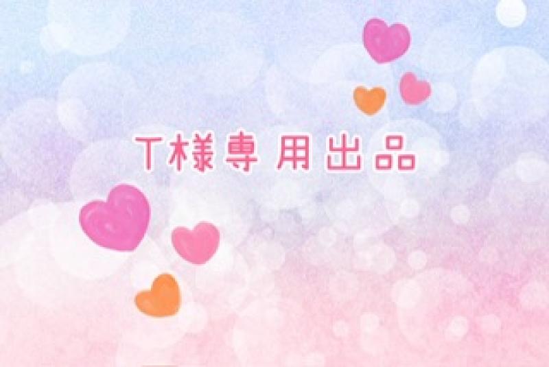 T様専用出品★