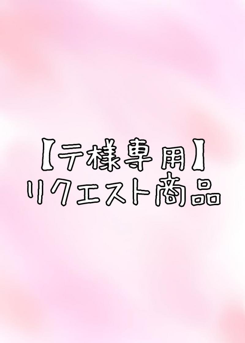 【テ様専用】リクエスト商品