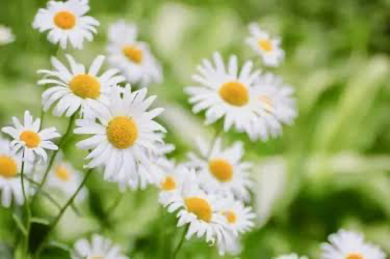 take様リクエストのお品物