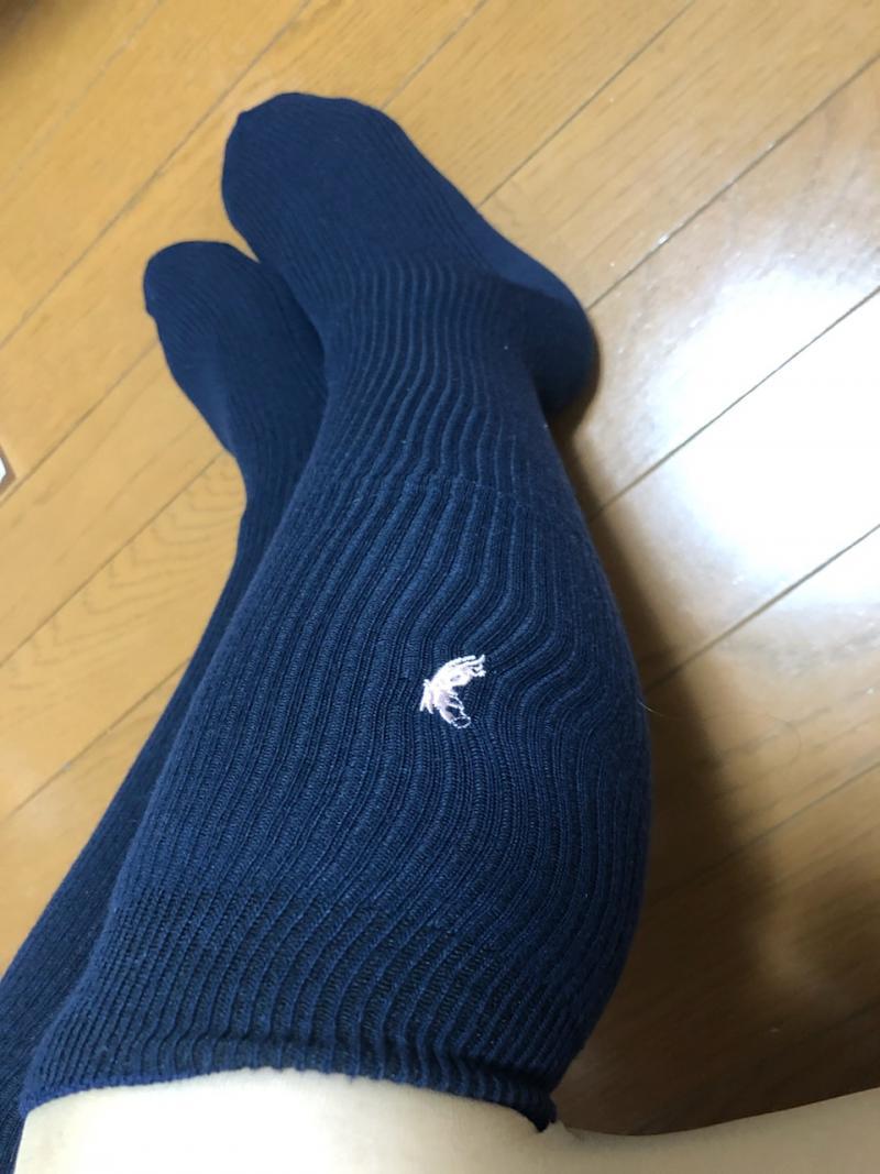 ５日履き♡ポロのスクールハイソックス♡紺色♡