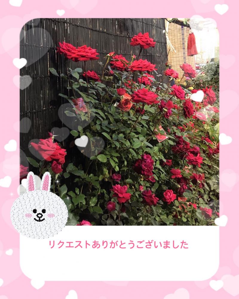 出品者名-写真-1