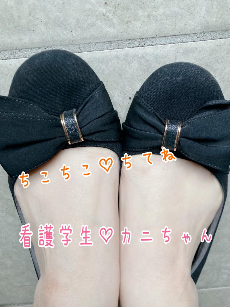 出品者名-写真
