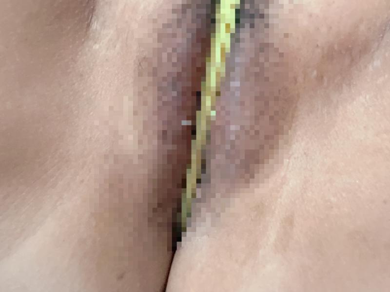 出品者名-写真-1