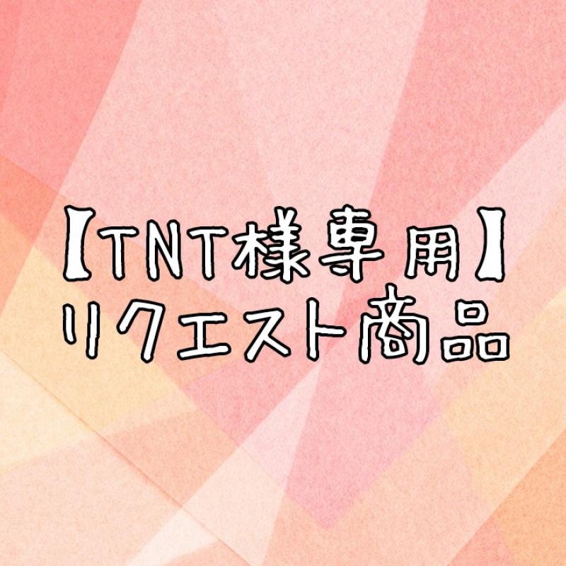 ♡【TNT様専用】リクエスト商品♡