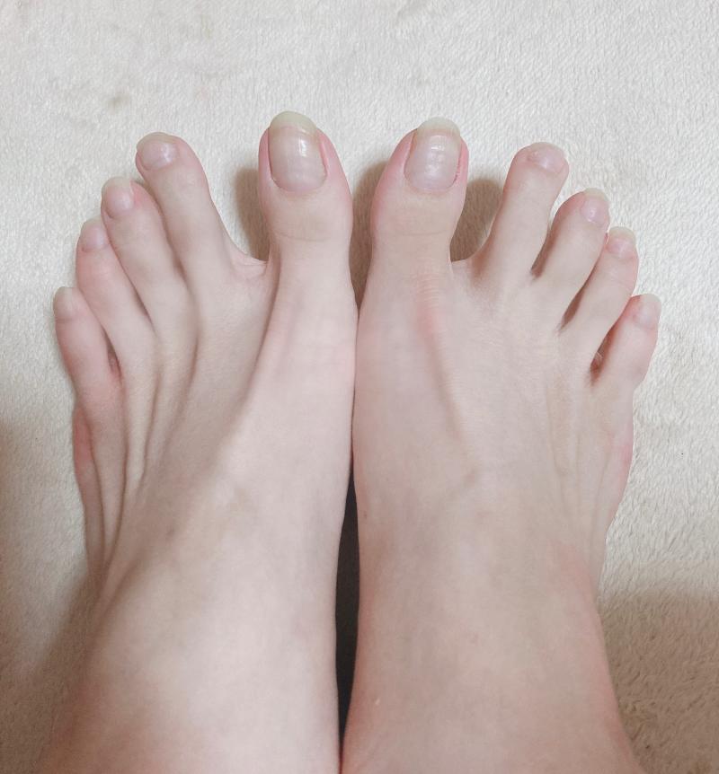出品者名-写真-1