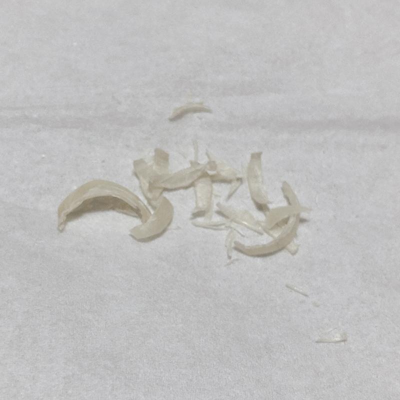 出品者名-写真-1