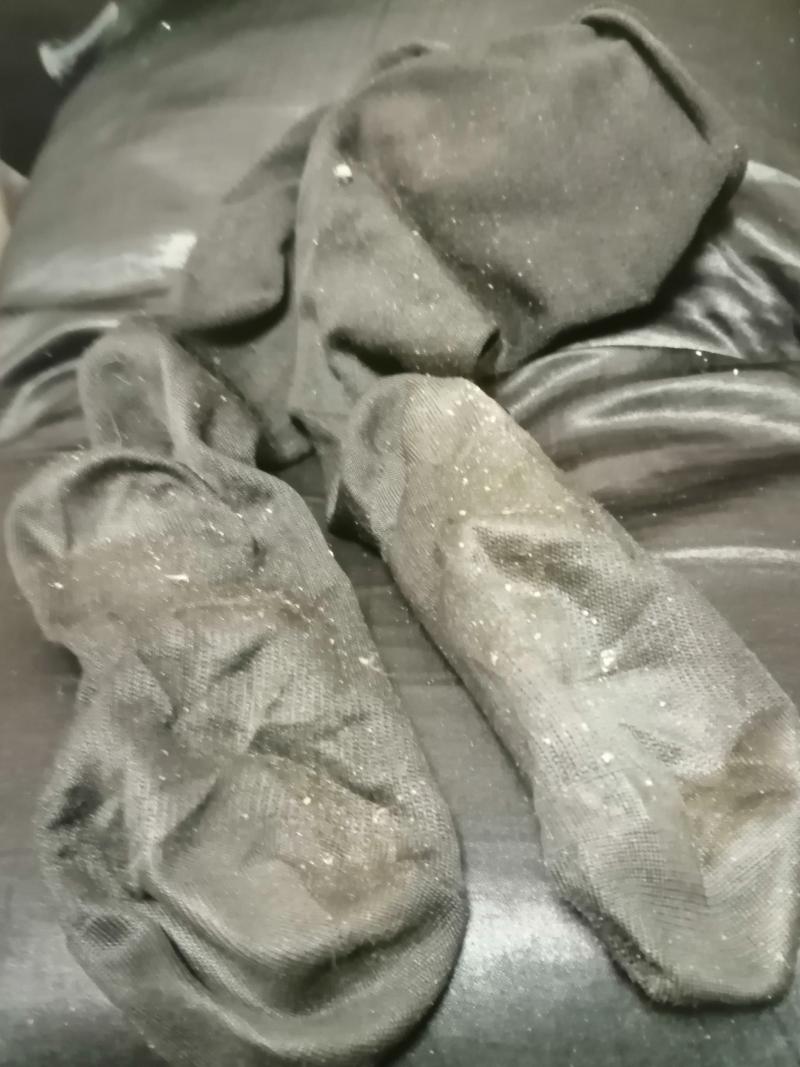 出品者名-写真-1