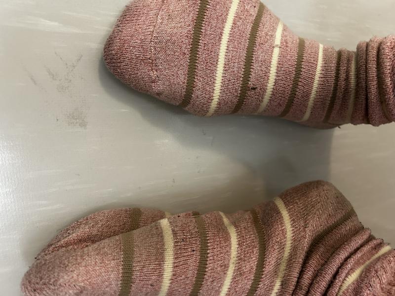 出品者名-写真-1