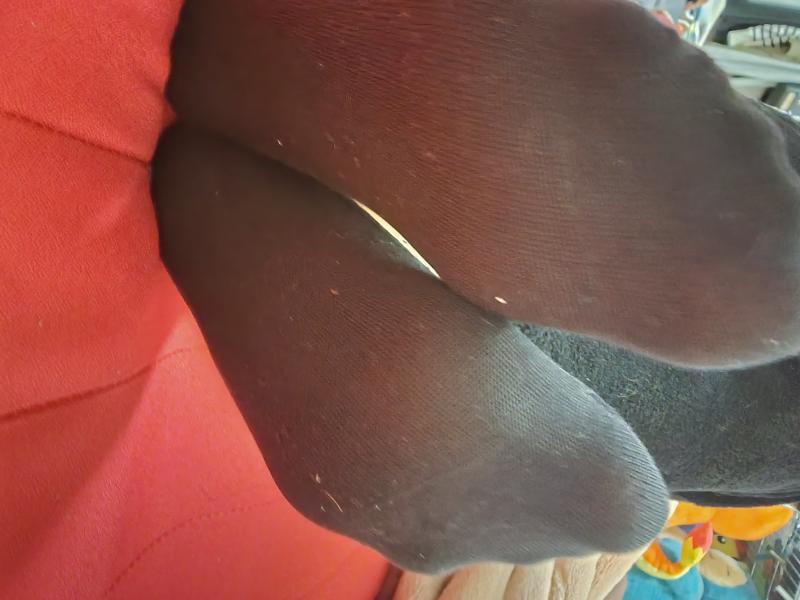 出品者名-写真-1
