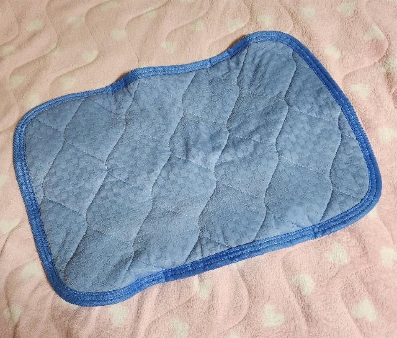 色々な匂いや汚れが染み付いた枕汗取りカバー☆