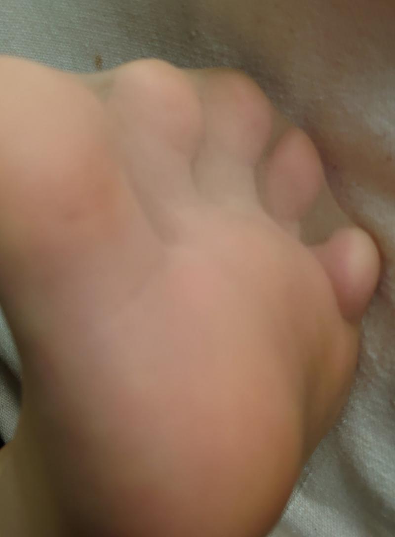 出品者名-写真