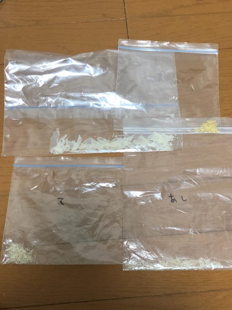 出品者名-写真-1