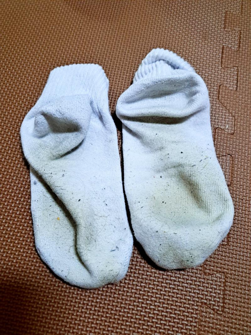 出品者名-写真