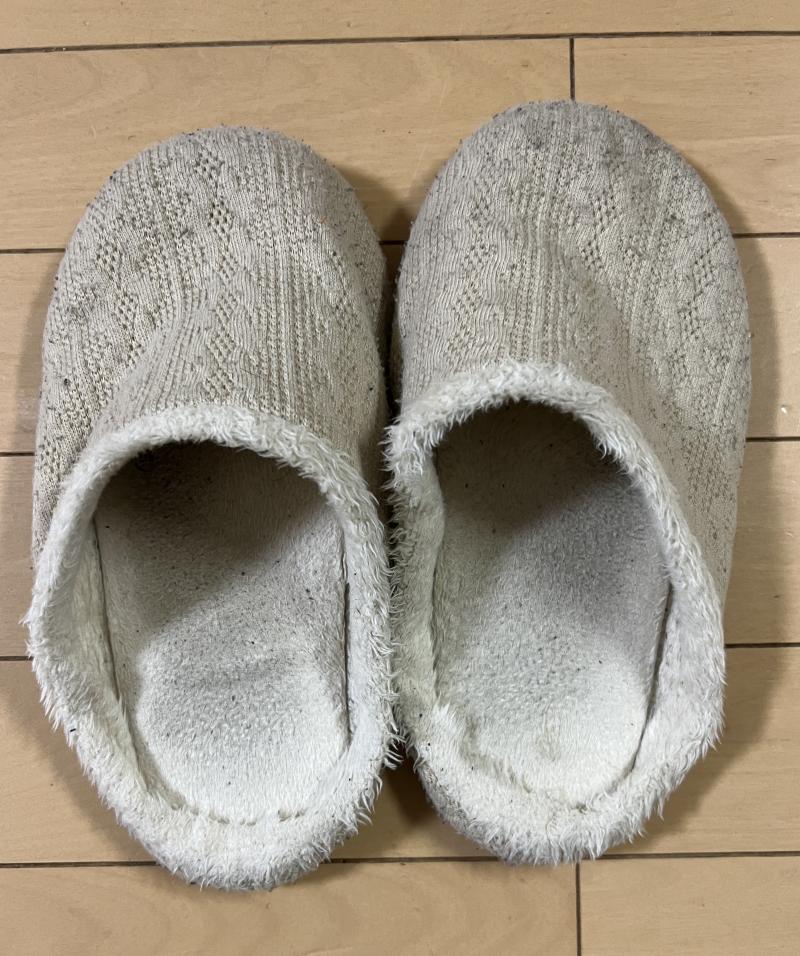 酸っぱさ染み込みスリッパ