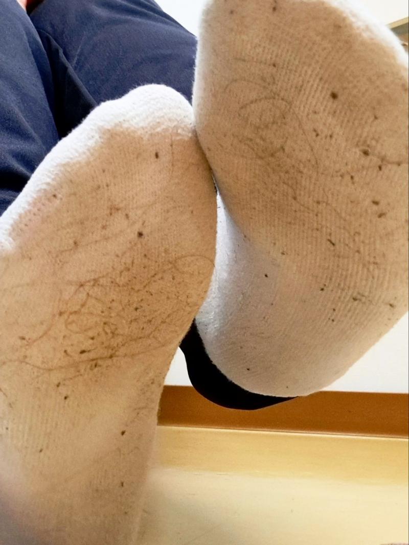 出品者名-写真