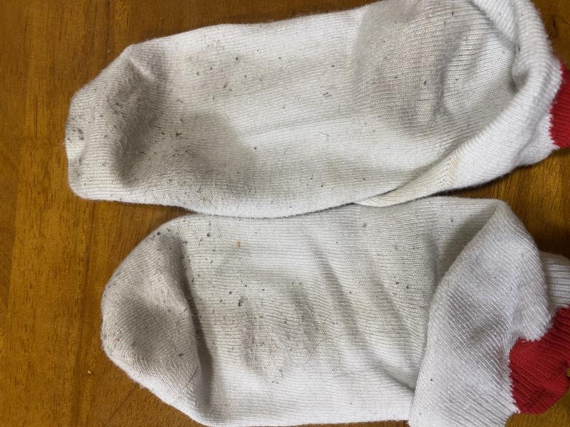 出品者名-写真-1