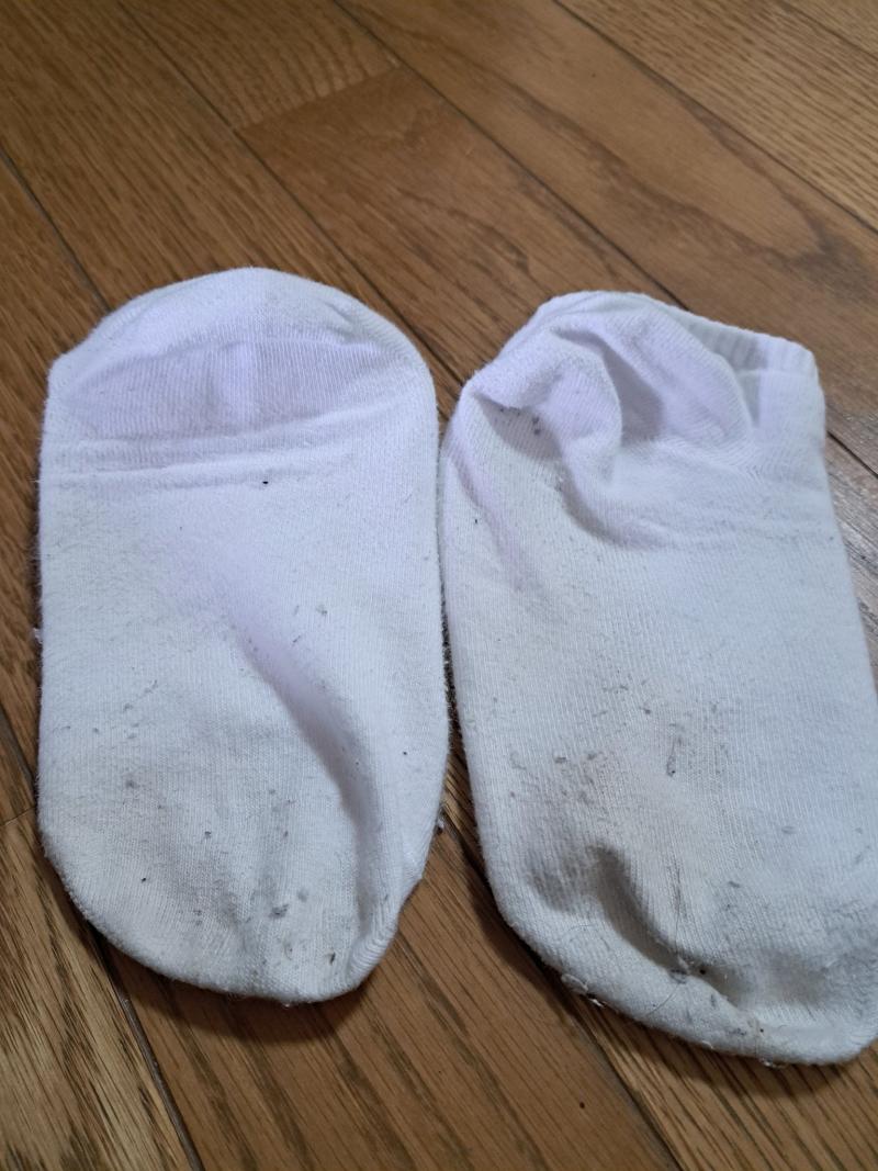 出品者名-写真-1