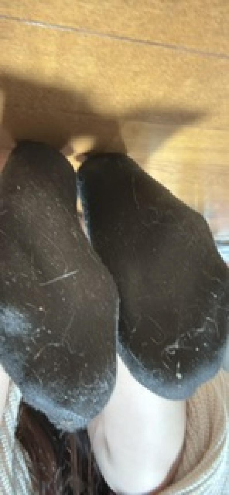 出品者名-写真-1