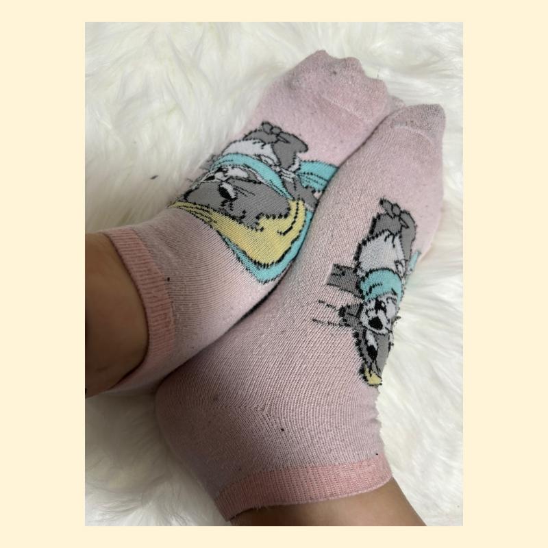 着用中キャラソックス