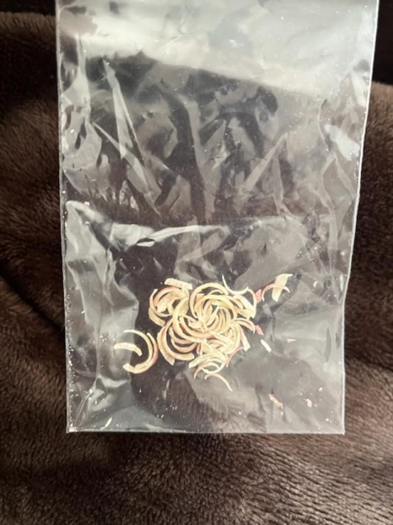 三ヶ月分の足の爪♡♡