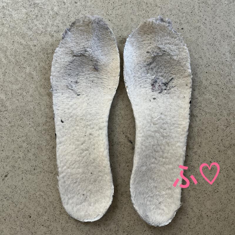 ●専用●1年愛用●強烈でかなりきったない臭すぎる中敷き●