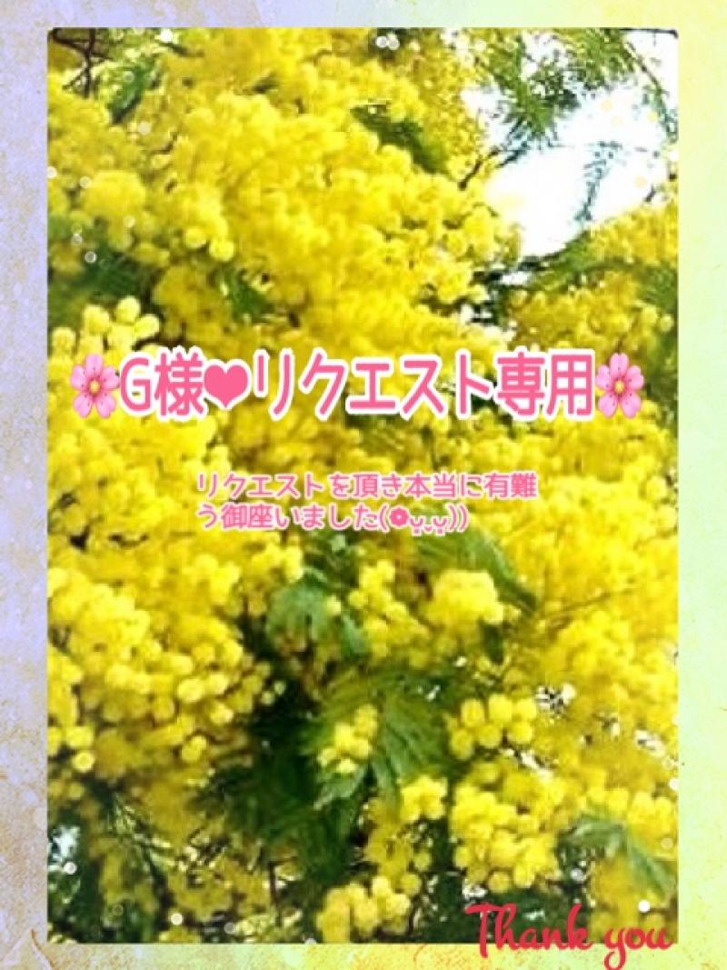 【G様‪‪❤︎‬リクエスト専用】