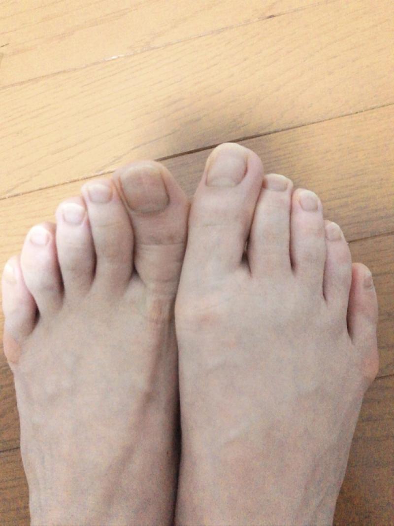 出品者名-写真