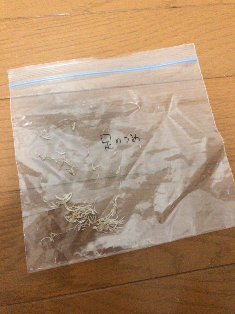 出品者名-写真-1