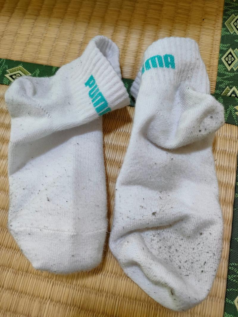 ５日連続着用PUMAソックス♡