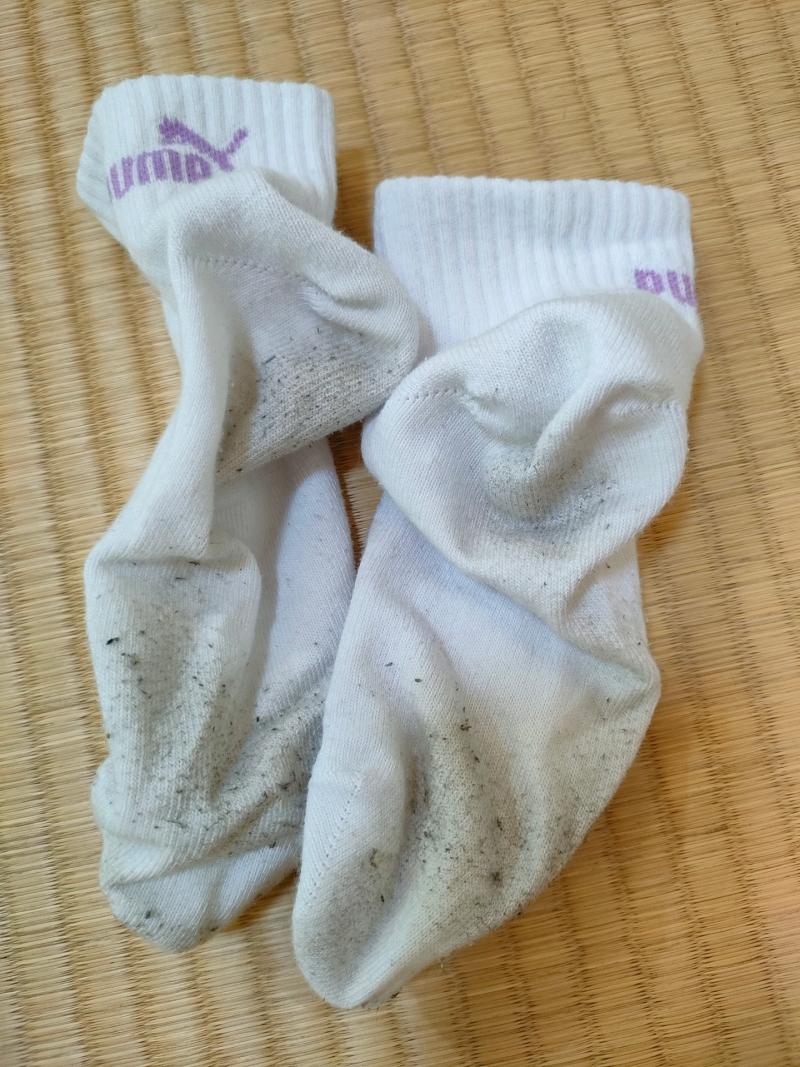 5日連続着用PUMAソックス♡